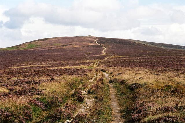 Barrow Hill Nature Reserve