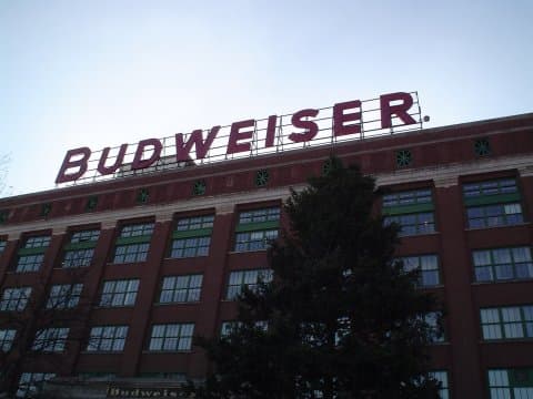 Anheuser-Busch Beer