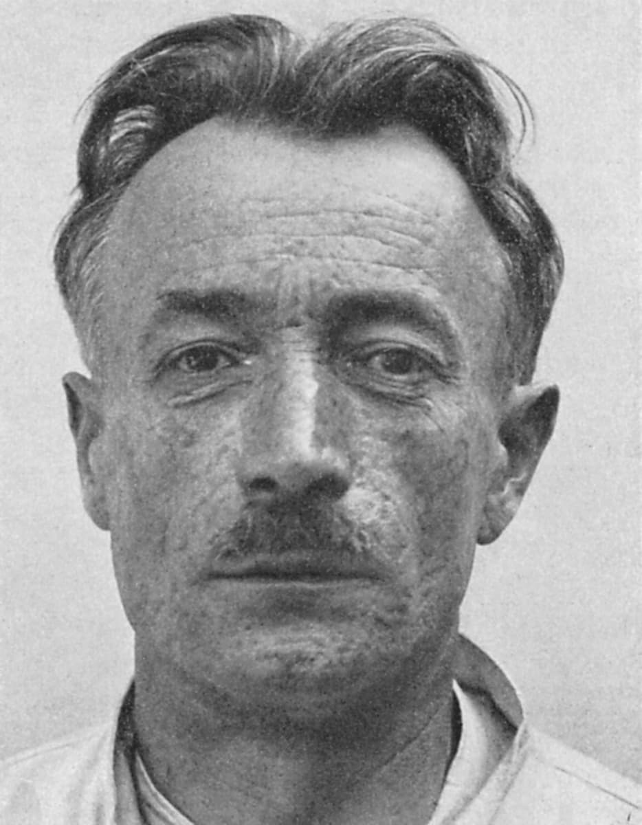 The Delaunay