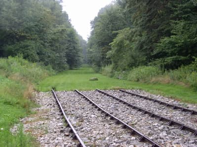 The Dining Car