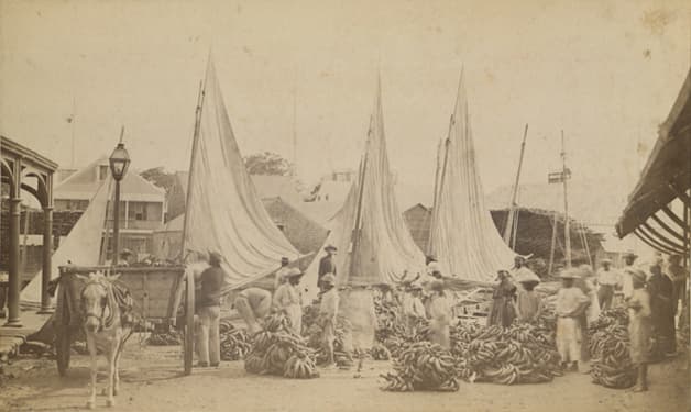 Belize City Market