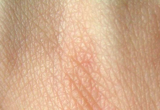 Travel-Sized Sunblock