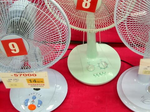 Portable Fan