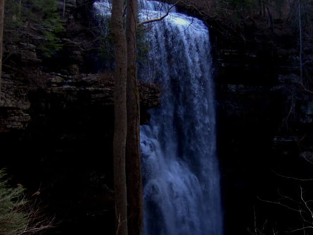 Clifty Falls Honey