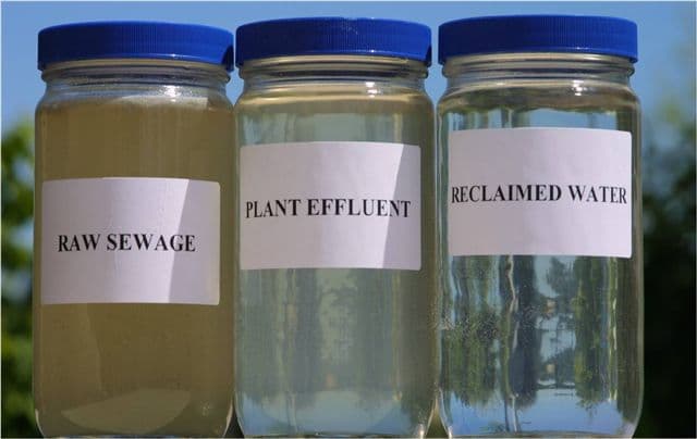 Reusable water bottle