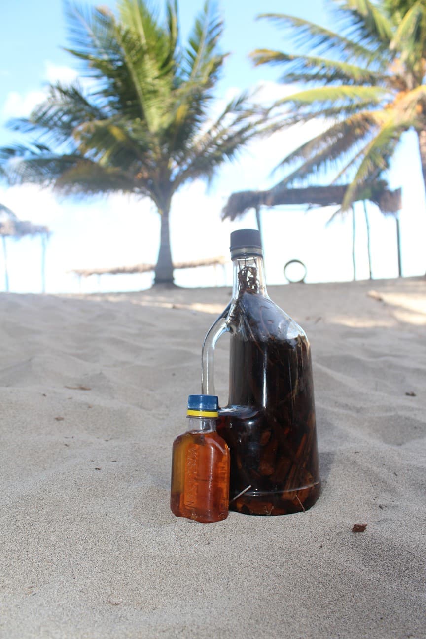Sugar Cane Rum