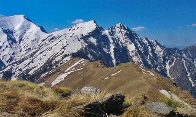 The Himalayan