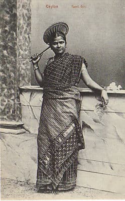 Sri Lankan Cinnamon