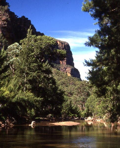 Glow Worm Valley Cafe