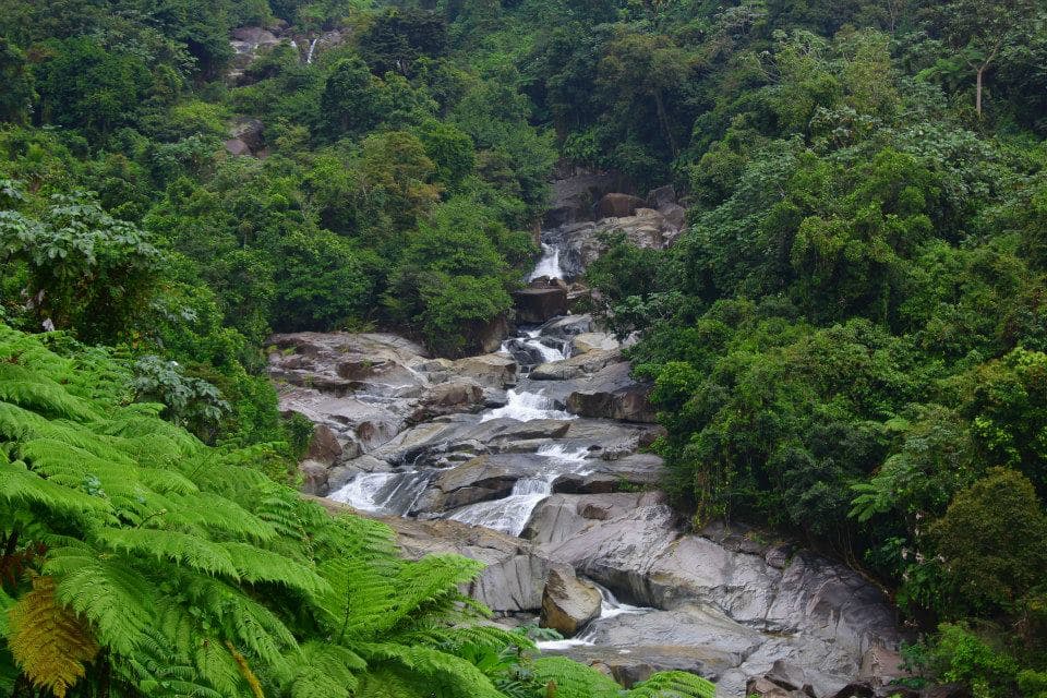 Bajos Del Toro Waterfall