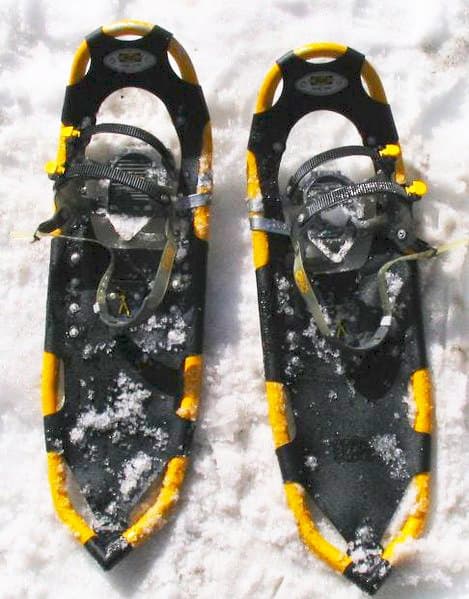 Comfortable Walking Shoes