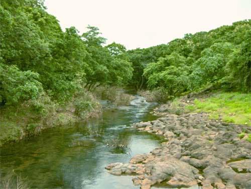 Tungareshwar Nature Park