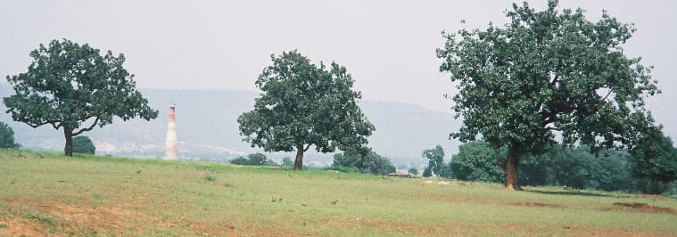 Spices from Melghat