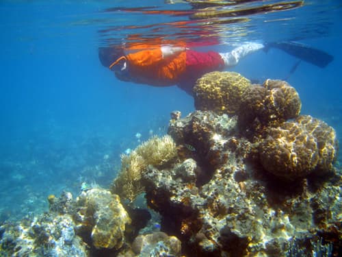 Underwater Camera