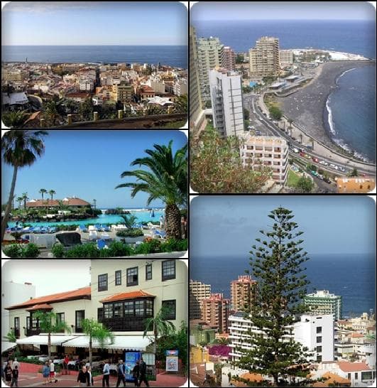 Tenerife Botanical Garden