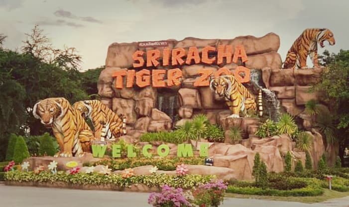 Sri Racha Tiger Zoo
