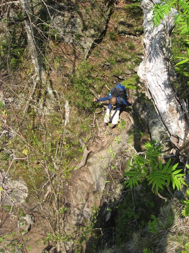The Blue Point