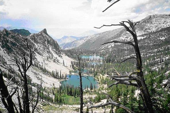 The Wilderness