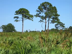 Cruickshank Sanctuary