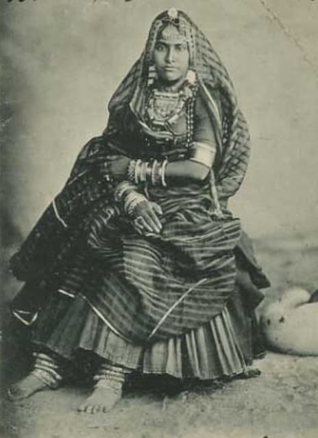 Saree or Traditional Indian Clothing
