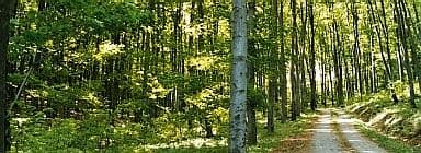 Wienerwald Nature Park
