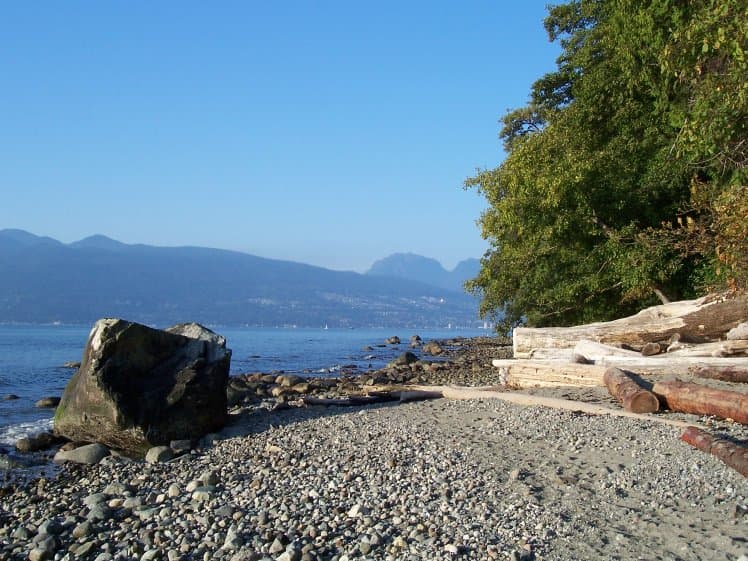 Pacific Spirit Park Trails