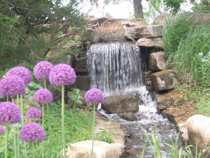 Botanical Gardens Honey