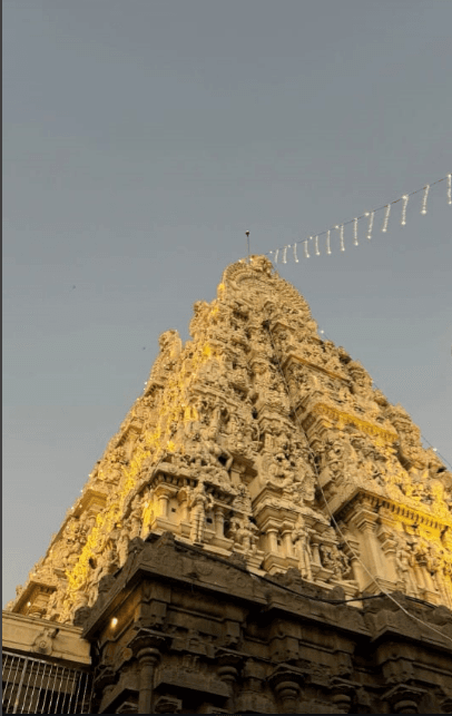 Kanchipuram Silk Sarees