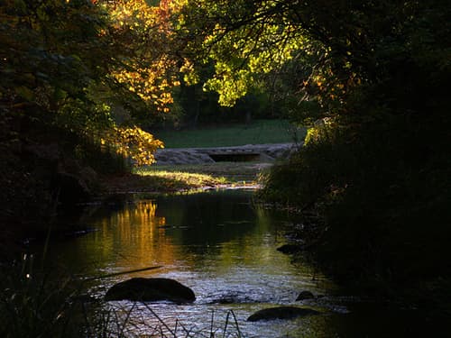 Arbuckle Wilderness Park
