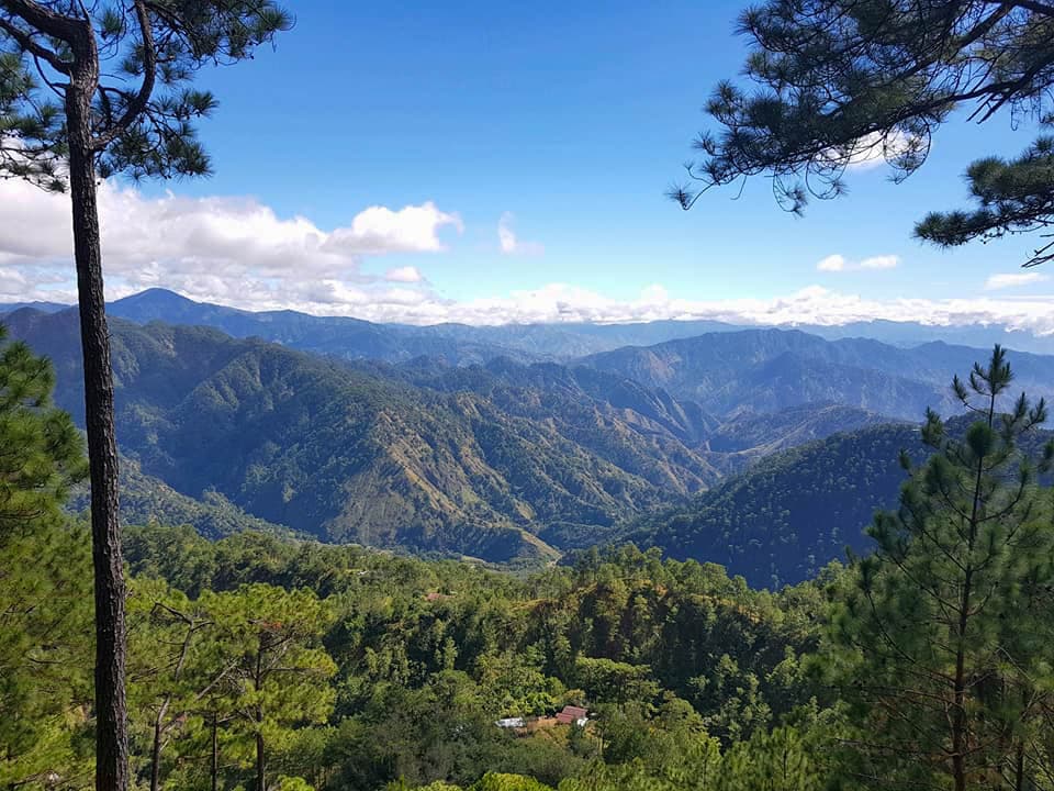 Mount Pulag Honey