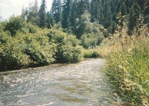 Spanish Fork River Trail
