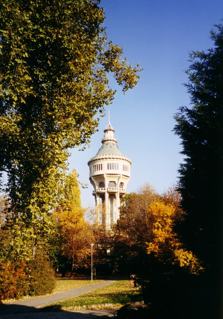 Danube Island