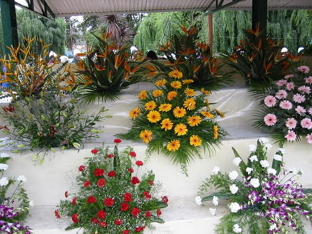 Kotagiri Market