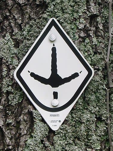 Clarks Hill Lake Trail