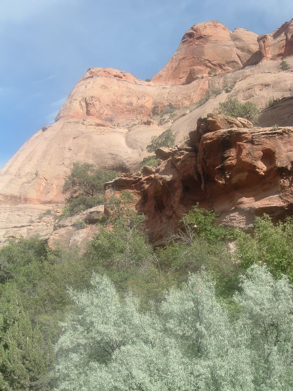 Whiskey Springs Trailhead
