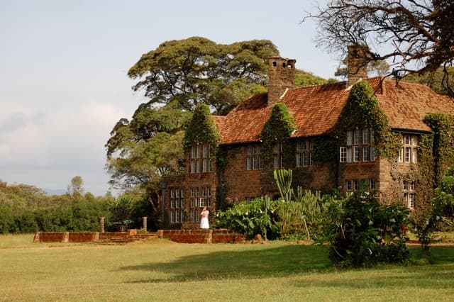 Giraffe Centre