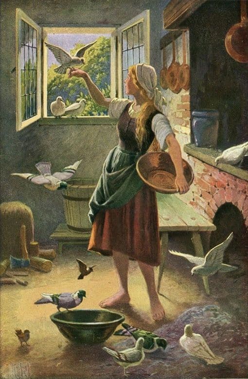 Le Pigeon