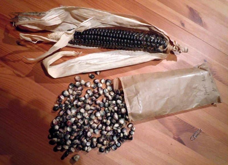 Hopi Bread