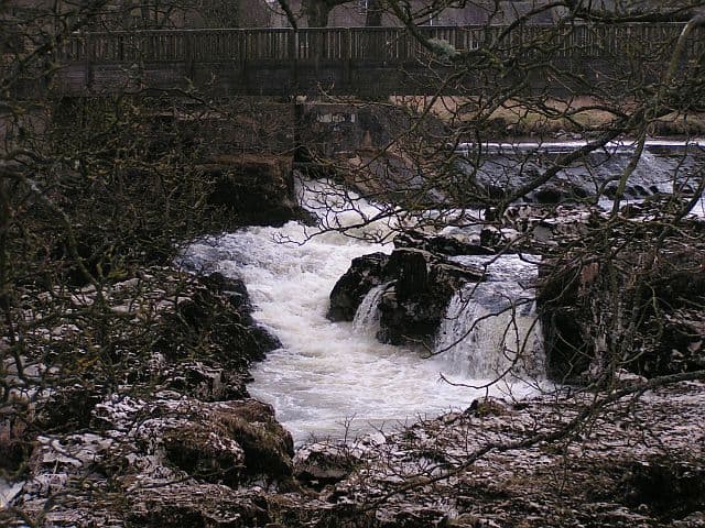 The Strid Wood