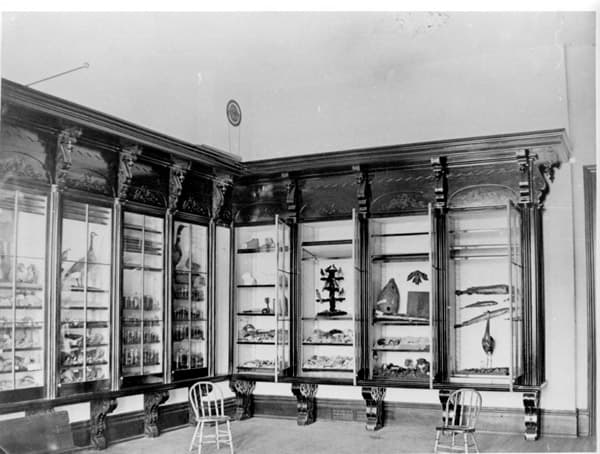 Kingman Museum of Natural History