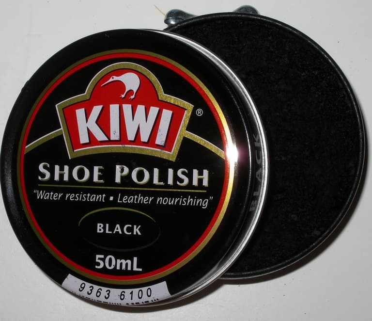 Portable Water Shoes