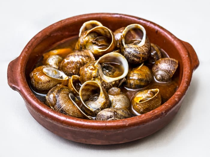 Snail Soup (Babbouche)