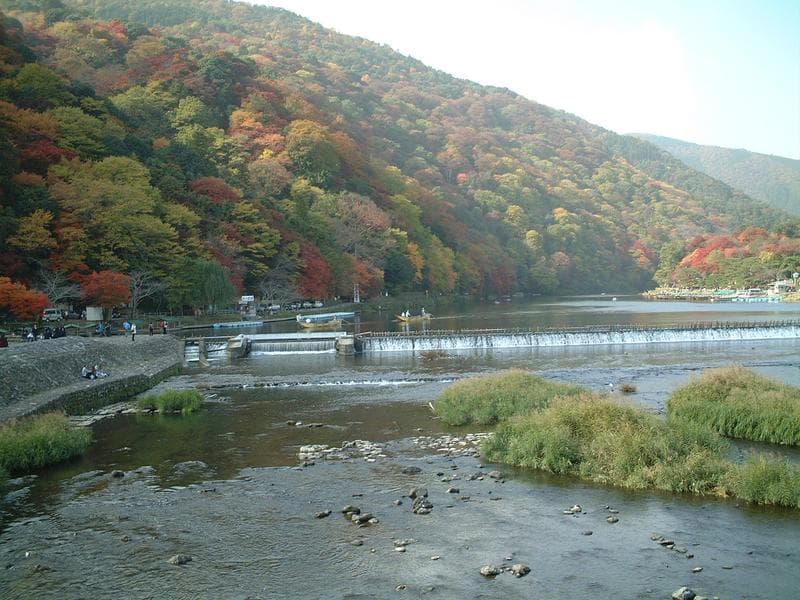 Sagano Bamboo Forest