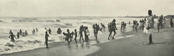The Beach Please