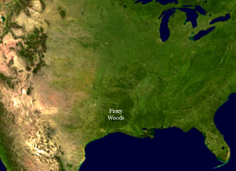 The Southern Table