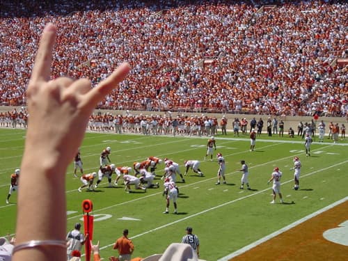 Texas Longhorn Horns