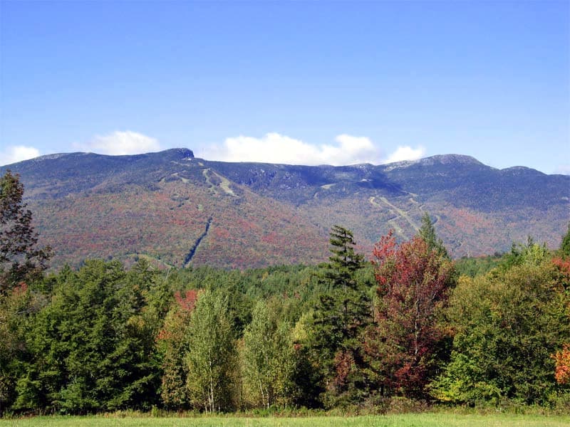 Mount Mansfield State Forest