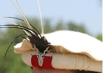 Himachali Shawls