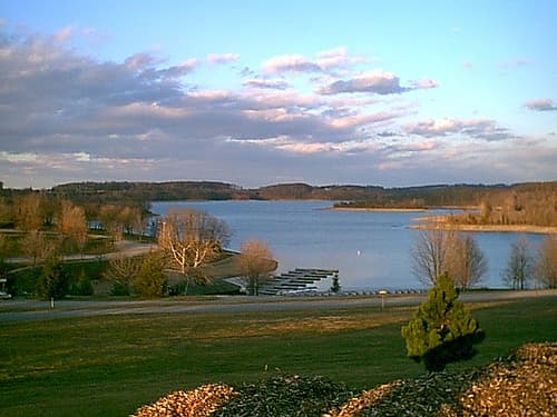 Glatfelter Forest
