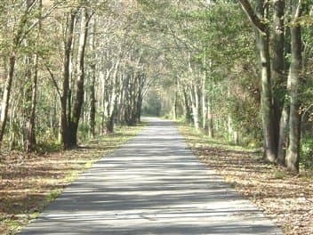 Apalachicola Riverwalk